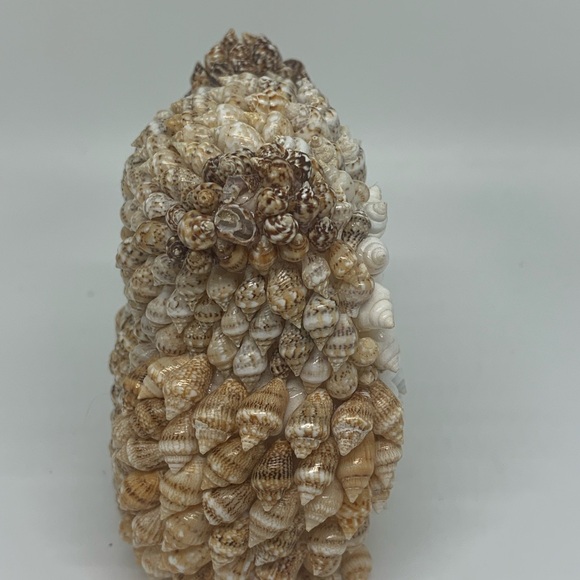 Handcrafted SEASHELL OWL! - Picture 3 of 9